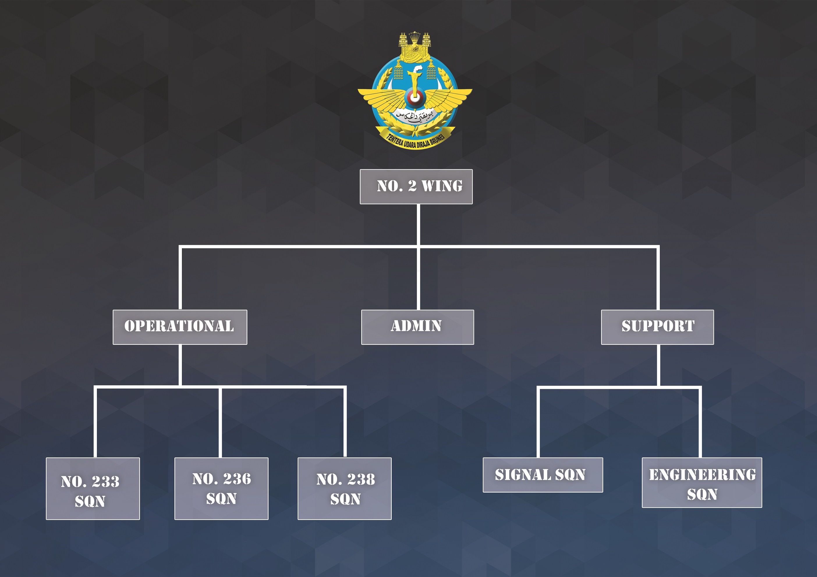 air force wing structure